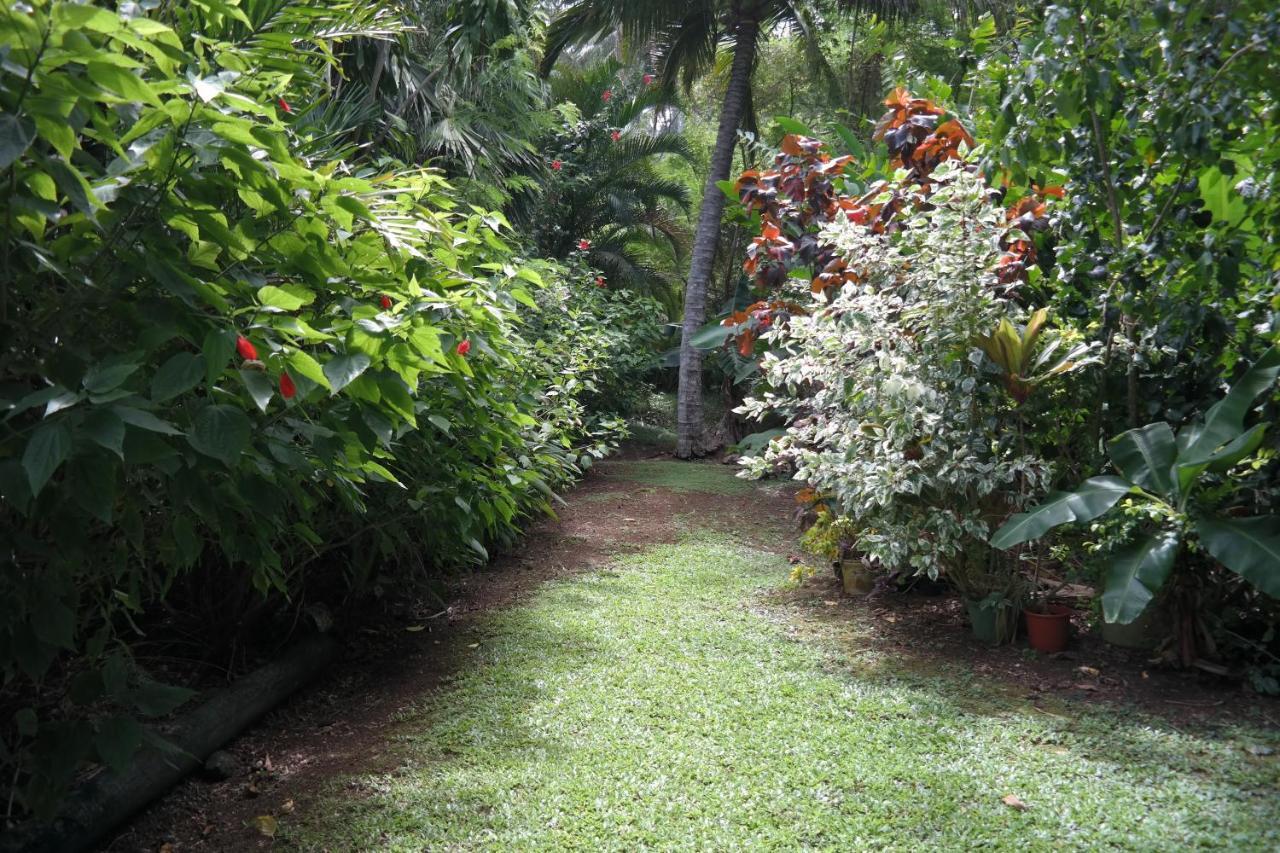 Muri Retreat Apartments Rarotonga Exteriér fotografie