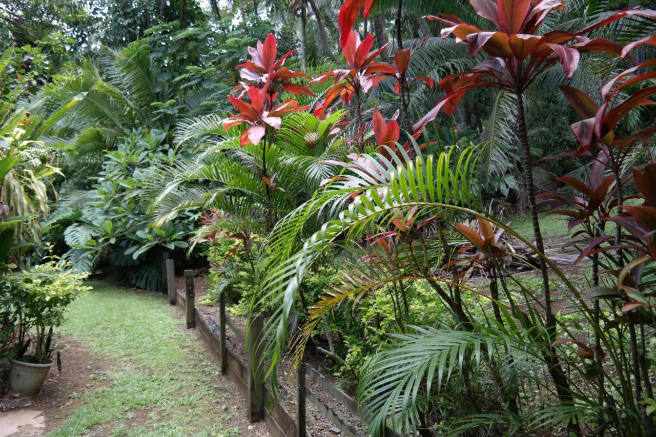 Muri Retreat Apartments Rarotonga Exteriér fotografie